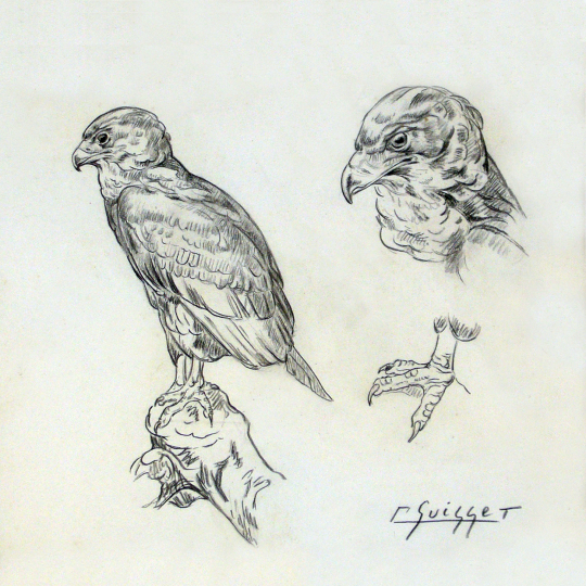 Gaston SUISSE (1896-1988) - Aigle bateleur et tête.